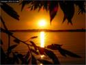 Dateiname=Bodensee_030.jpg
Dateigröße=60KB
Abmessungen: 799x600
hinzugefügt am: 09. Dezember 2015 Bodensee_030.jpg