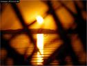 Dateiname=Bodensee_034.jpg
Dateigröße=53KB
Abmessungen: 799x600
hinzugefügt am: 09. Dezember 2015 Bodensee_034.jpg