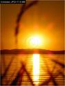 Dateiname=Bodensee_035.jpg
Dateigröße=38KB
Abmessungen: 451x600
hinzugefügt am: 09. Dezember 2015 Bodensee_035.jpg