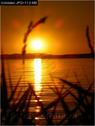 Dateiname=Bodensee_036.jpg
Dateigröße=40KB
Abmessungen: 451x600
hinzugefügt am: 09. Dezember 2015 Bodensee_036.jpg