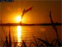 Dateiname=Bodensee_037.jpg
Dateigröße=58KB
Abmessungen: 799x600
hinzugefügt am: 09. Dezember 2015 Bodensee_037.jpg