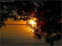 Dateiname=Bodensee_044.jpg
Dateigröße=109KB
Abmessungen: 799x600
hinzugefügt am: 09. Dezember 2015 Bodensee_044.jpg