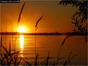 Dateiname=Bodensee_052.jpg
Dateigröße=69KB
Abmessungen: 799x600
hinzugefügt am: 09. Dezember 2015 Bodensee_052.jpg