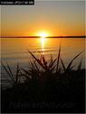 Dateiname=Bodensee_058.jpg
Dateigröße=39KB
Abmessungen: 451x600
hinzugefügt am: 09. Dezember 2015 Bodensee_058.jpg