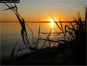 Dateiname=Bodensee_059.jpg
Dateigröße=73KB
Abmessungen: 799x600
hinzugefügt am: 09. Dezember 2015 Bodensee_059.jpg