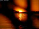 Dateiname=Bodensee_072.jpg
Dateigröße=47KB
Abmessungen: 799x600
hinzugefügt am: 09. Dezember 2015 Bodensee_072.jpg