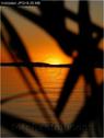 Dateiname=Bodensee_076.jpg
Dateigröße=35KB
Abmessungen: 451x600
hinzugefügt am: 09. Dezember 2015 Bodensee_076.jpg