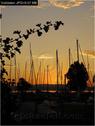 Dateiname=Bodensee_085.jpg
Dateigröße=51KB
Abmessungen: 451x600
hinzugefügt am: 09. Dezember 2015 Bodensee_085.jpg