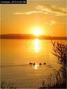 Dateiname=Bodensee_106.jpg
Dateigröße=55KB
Abmessungen: 451x600
hinzugefügt am: 09. Dezember 2015 Bodensee_106.jpg