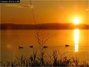 Dateiname=Bodensee_108.jpg
Dateigröße=76KB
Abmessungen: 799x600
hinzugefügt am: 09. Dezember 2015 Bodensee_108.jpg
