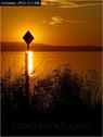 Dateiname=Bodensee_109.jpg
Dateigröße=49KB
Abmessungen: 451x600
hinzugefügt am: 09. Dezember 2015 Bodensee_109.jpg