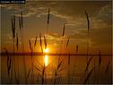 Dateiname=Bodensee_111.jpg
Dateigröße=73KB
Abmessungen: 799x600
hinzugefügt am: 09. Dezember 2015 Bodensee_111.jpg