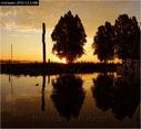 Dateiname=Bodensee_117.jpg
Dateigröße=71KB
Abmessungen: 651x600
hinzugefügt am: 09. Dezember 2015 Bodensee_117.jpg