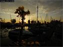 Dateiname=Bodensee_125.jpg
Dateigröße=81KB
Abmessungen: 799x600
hinzugefügt am: 09. Dezember 2015 Bodensee_125.jpg