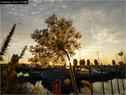 Dateiname=Bodensee_126.jpg
Dateigröße=89KB
Abmessungen: 799x600
hinzugefügt am: 09. Dezember 2015 Bodensee_126.jpg
