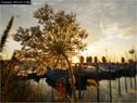 Dateiname=Bodensee_127.jpg
Dateigröße=97KB
Abmessungen: 799x600
hinzugefügt am: 09. Dezember 2015 Bodensee_127.jpg