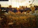 Dateiname=Bodensee_130.jpg
Dateigröße=93KB
Abmessungen: 799x600
hinzugefügt am: 09. Dezember 2015 Bodensee_130.jpg
