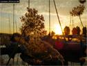 Dateiname=Bodensee_132.jpg
Dateigröße=83KB
Abmessungen: 799x600
hinzugefügt am: 09. Dezember 2015 Bodensee_132.jpg