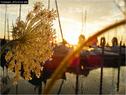 Dateiname=Bodensee_135.jpg
Dateigröße=99KB
Abmessungen: 799x600
hinzugefügt am: 09. Dezember 2015 Bodensee_135.jpg