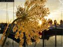Dateiname=Bodensee_136.jpg
Dateigröße=125KB
Abmessungen: 799x600
hinzugefügt am: 09. Dezember 2015 Bodensee_136.jpg