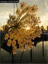 Dateiname=Bodensee_137.jpg
Dateigröße=77KB
Abmessungen: 451x600
hinzugefügt am: 09. Dezember 2015 Bodensee_137.jpg