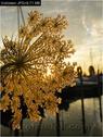 Dateiname=Bodensee_138.jpg
Dateigröße=79KB
Abmessungen: 451x600
hinzugefügt am: 09. Dezember 2015 Bodensee_138.jpg