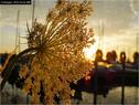 Dateiname=Bodensee_141.jpg
Dateigröße=110KB
Abmessungen: 799x600
hinzugefügt am: 09. Dezember 2015 Bodensee_141.jpg