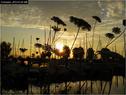 Dateiname=Bodensee_144.jpg
Dateigröße=103KB
Abmessungen: 799x600
hinzugefügt am: 09. Dezember 2015 Bodensee_144.jpg