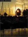 Dateiname=Bodensee_146.jpg
Dateigröße=59KB
Abmessungen: 451x600
hinzugefügt am: 09. Dezember 2015 Bodensee_146.jpg