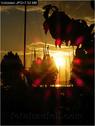 Dateiname=Bodensee_149.jpg
Dateigröße=40KB
Abmessungen: 451x600
hinzugefügt am: 09. Dezember 2015 Bodensee_149.jpg
