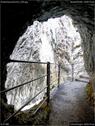 Dateiname=Rosenlauischlucht_039.jpg
Dateigröße=200KB
Abmessungen: 676x900
hinzugefügt am: 12. Januar 2016 Rosenlauischlucht_039.jpg