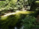 Dateiname=GorgesArreuse_014.jpg
Dateigröße=428KB
Abmessungen: 1199x900
hinzugefügt am: 03. Januar 2016 GorgesArreuse_014.jpg