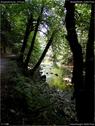 Dateiname=GorgesArreuse_019.jpg
Dateigröße=207KB
Abmessungen: 676x900
hinzugefügt am: 03. Januar 2016 GorgesArreuse_019.jpg