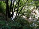 Dateiname=GorgesArreuse_022.jpg
Dateigröße=464KB
Abmessungen: 1199x900
hinzugefügt am: 03. Januar 2016 GorgesArreuse_022.jpg
