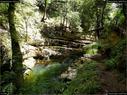 Dateiname=GorgesArreuse_039.jpg
Dateigröße=482KB
Abmessungen: 1199x900
hinzugefügt am: 03. Januar 2016 GorgesArreuse_039.jpg