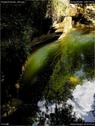 Dateiname=GorgesArreuse_043.jpg
Dateigröße=181KB
Abmessungen: 676x900
hinzugefügt am: 03. Januar 2016 GorgesArreuse_043.jpg