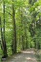 Dateiname=Saengeliweiher_07.jpg
Dateigröße=108KB
Abmessungen: 399x600
hinzugefügt am: 13. September 2015 Saengeliweiher_07.jpg