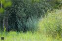 Dateiname=Saengeliweiher_09.jpg
Dateigröße=200KB
Abmessungen: 902x600
hinzugefügt am: 13. September 2015 Saengeliweiher_09.jpg