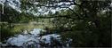 Dateiname=Saengeliweiher_14.jpg
Dateigröße=166KB
Abmessungen: 1000x428
hinzugefügt am: 13. September 2015 Saengeliweiher_14.jpg