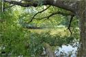 Dateiname=Saengeliweiher_16.jpg
Dateigröße=209KB
Abmessungen: 902x600
hinzugefügt am: 13. September 2015 Saengeliweiher_16.jpg