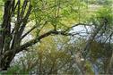 Dateiname=Saengeliweiher_17.jpg
Dateigröße=225KB
Abmessungen: 902x600
hinzugefügt am: 13. September 2015 Saengeliweiher_17.jpg