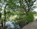 Dateiname=Saengeliweiher_18.jpg
Dateigröße=217KB
Abmessungen: 768x600
hinzugefügt am: 13. September 2015 Saengeliweiher_18.jpg