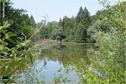 Dateiname=Saengeliweiher_24.jpg
Dateigröße=173KB
Abmessungen: 902x600
hinzugefügt am: 13. September 2015 Saengeliweiher_24.jpg