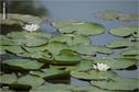 Dateiname=Saengeliweiher_32.jpg
Dateigröße=82KB
Abmessungen: 902x600
hinzugefügt am: 13. September 2015 Saengeliweiher_32.jpg