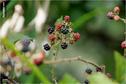 Dateiname=Saengeliweiher_33.jpg
Dateigröße=64KB
Abmessungen: 902x600
hinzugefügt am: 13. September 2015 Saengeliweiher_33.jpg