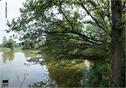 Dateiname=Saengeliweiher_38.jpg
Dateigröße=210KB
Abmessungen: 860x600
hinzugefügt am: 13. September 2015 Saengeliweiher_38.jpg