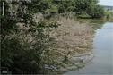 Dateiname=Saengeliweiher_39.jpg
Dateigröße=199KB
Abmessungen: 902x600
hinzugefügt am: 13. September 2015 Saengeliweiher_39.jpg