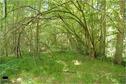 Dateiname=Saengeliweiher_49.jpg
Dateigröße=227KB
Abmessungen: 902x600
hinzugefügt am: 13. September 2015 Saengeliweiher_49.jpg