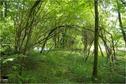 Dateiname=Saengeliweiher_50.jpg
Dateigröße=242KB
Abmessungen: 902x600
hinzugefügt am: 13. September 2015 Saengeliweiher_50.jpg