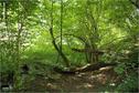 Dateiname=Saengeliweiher_52.jpg
Dateigröße=238KB
Abmessungen: 902x600
hinzugefügt am: 13. September 2015 Saengeliweiher_52.jpg